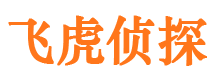 邕宁市侦探调查公司